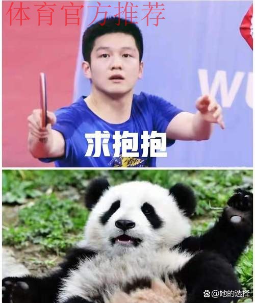 《熊猫说球》第四集：球员