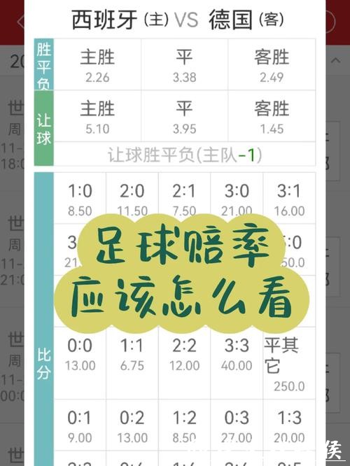 世界杯竞猜平台的赔率怎么算？详细讲解